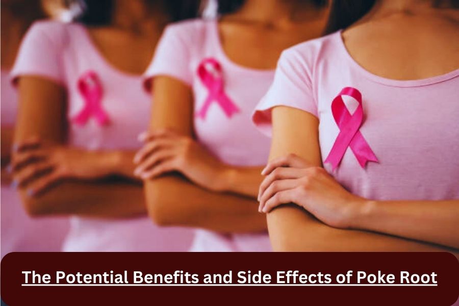 Can poke root treat breast cancer or its symptoms?