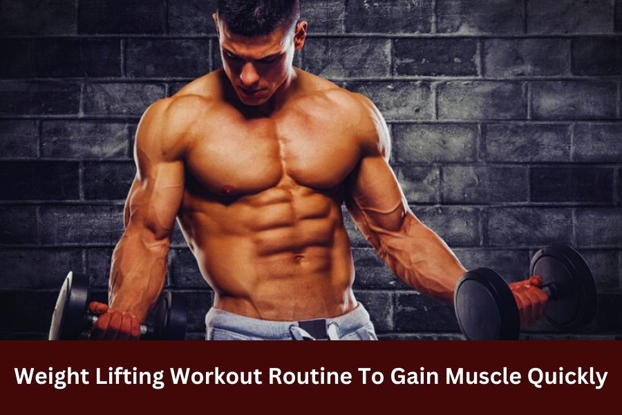 Weight Lifting Workout Routine To Gain Muscle Quickly