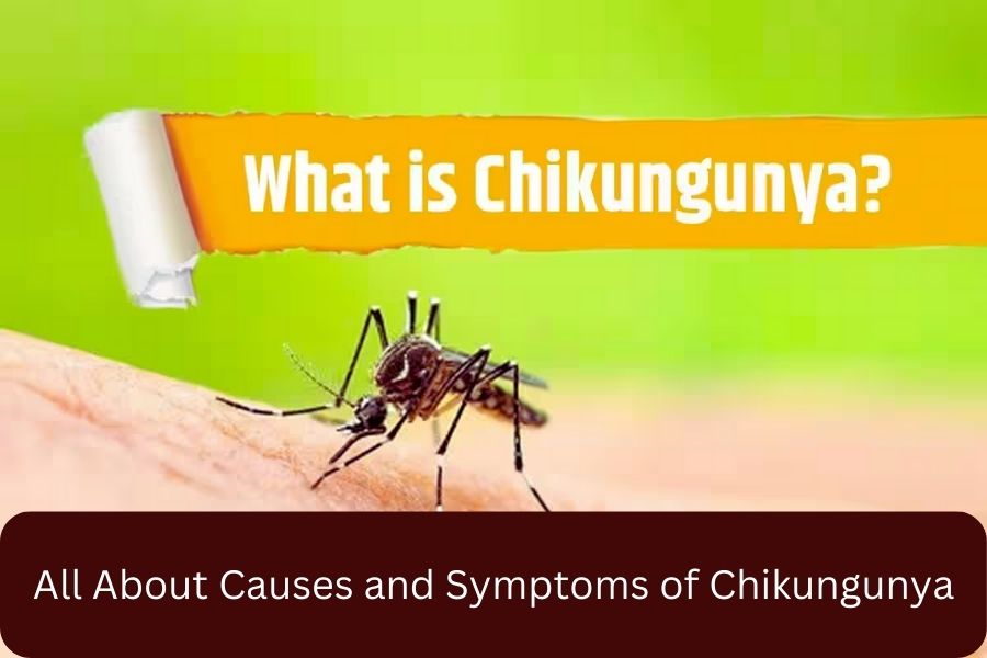 All About Causes and Symptoms of Chikungunya